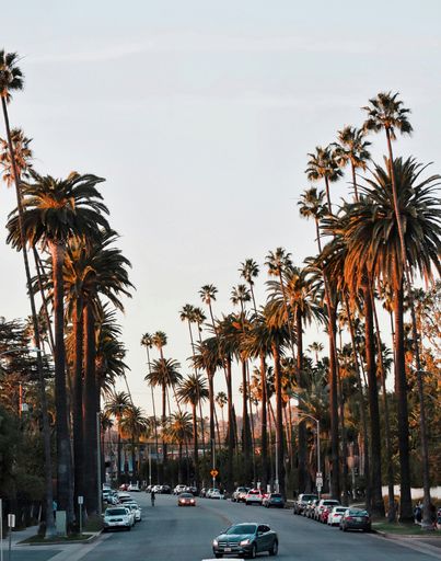 Beverly Hills  - Photo by Nick Sarvari for Unsplash