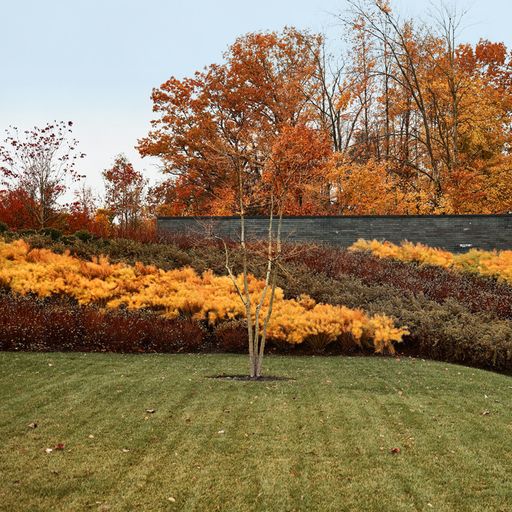 BLOG_Collected-Works-Restored-Land-Northeast-Ohio-Residence-09.jpg