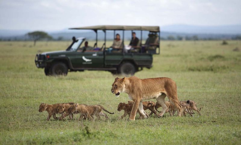 BLOG_Africa-Tanzania-Grumeti-Experience-Game-drive-branded-vehicle-with-lioness-and-cubs_9.jpg